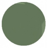 Jelly absolutly khaki