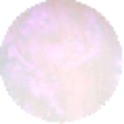 TOP LINE Nagellack  Nr.43